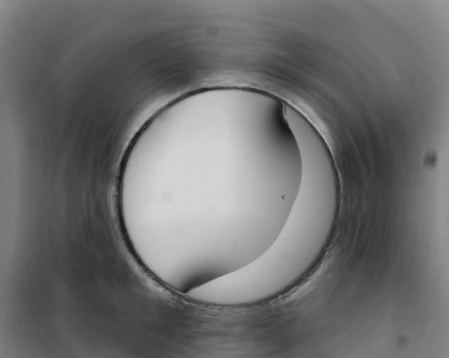 X0000100360901200807031835