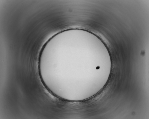 X0000100360902200807031835
