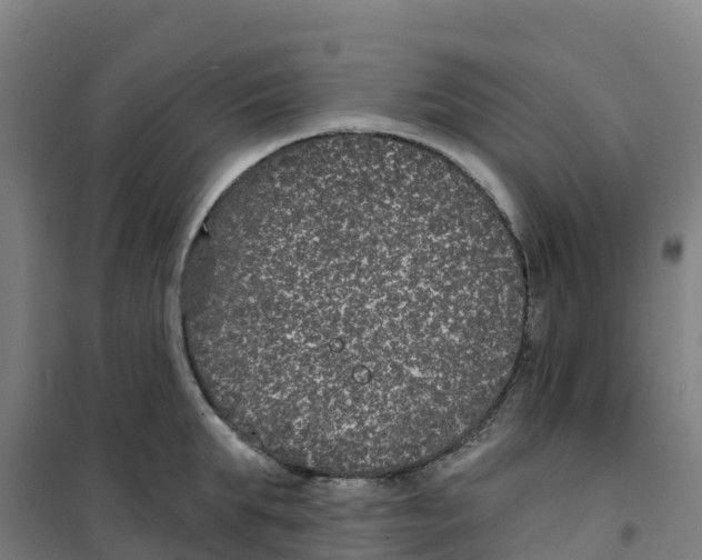 X0000100360903200807031835