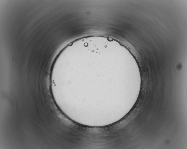 X0000100360904200807031835