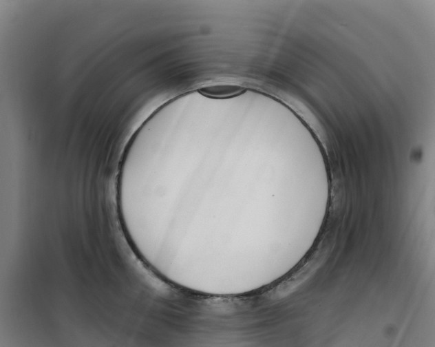 X0000100360906200807031835