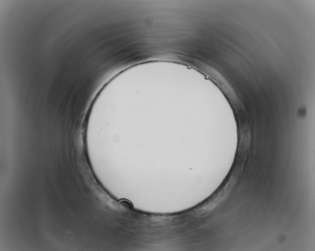 X0000100360908200807031835