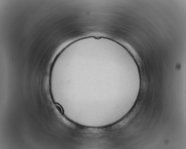 X0000100360910200807031835