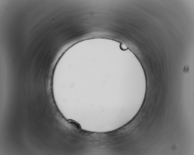 X0000100360912200807031835
