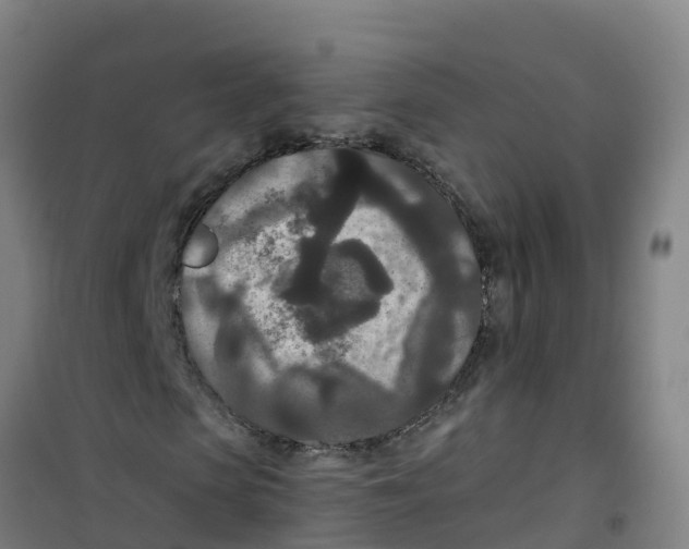 X0000100360913200807031834