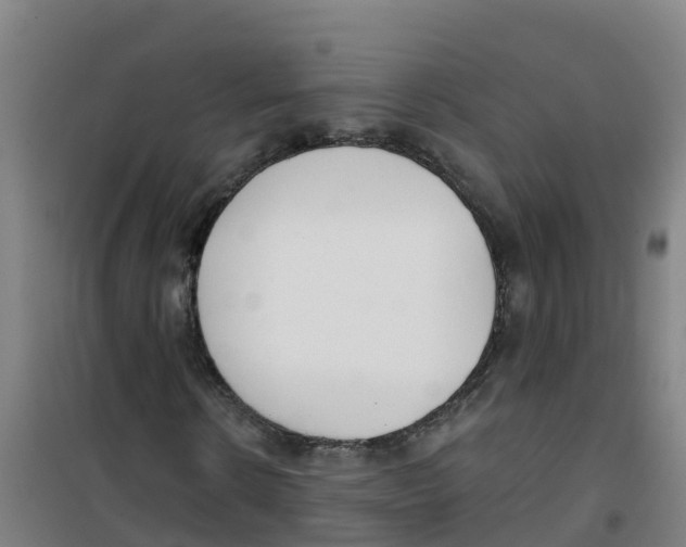 X0000100360914200807031834