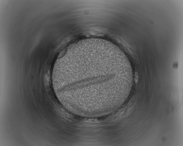 X0000100360915200807031834