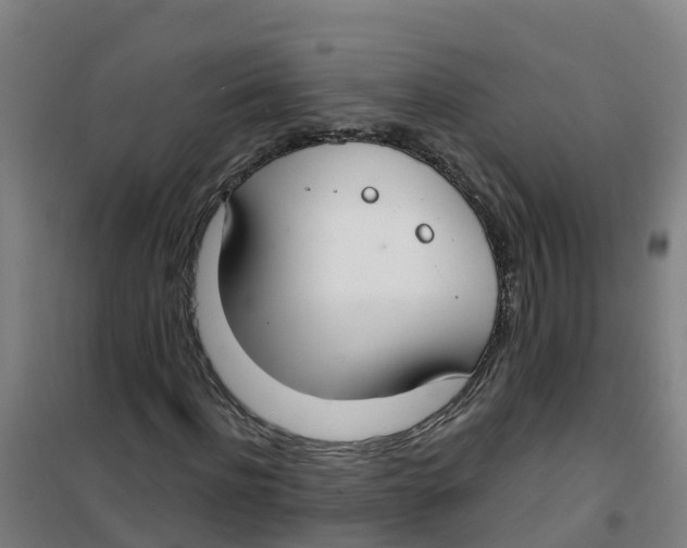 X0000100360916200807031834
