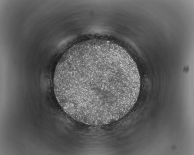 X0000100360918200807031834