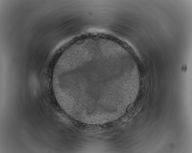 X0000100360919200807031834