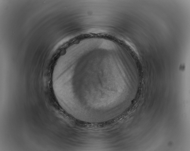 X0000100360920200807031834