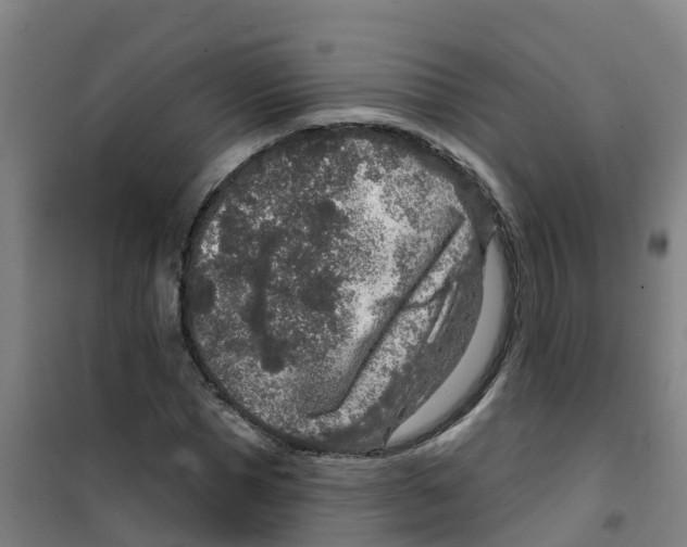 X0000100360921200807031834