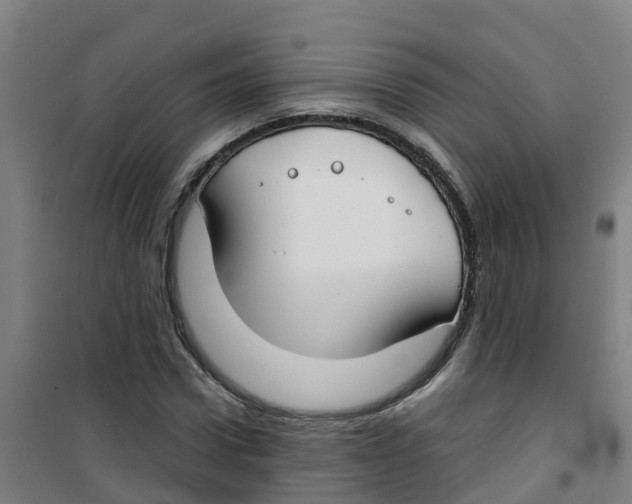 X0000100360922200807031834