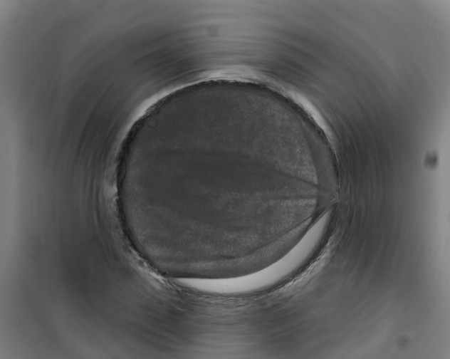X0000100360923200807031834
