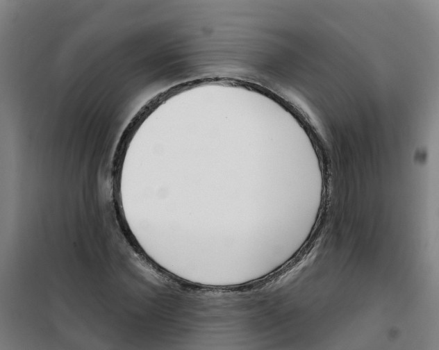 X0000100360924200807031834