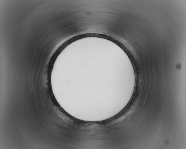 X0000100360926200807031834