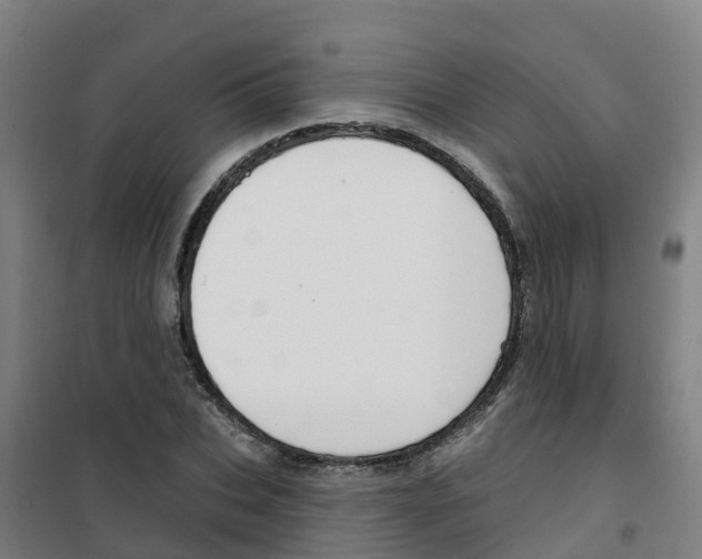 X0000100360927200807031834