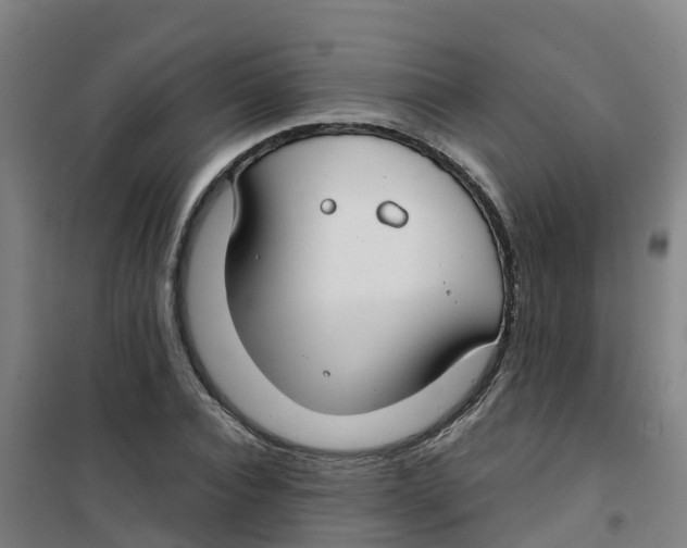 X0000100360928200807031834