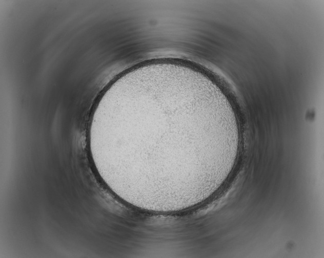 X0000100360929200807031834