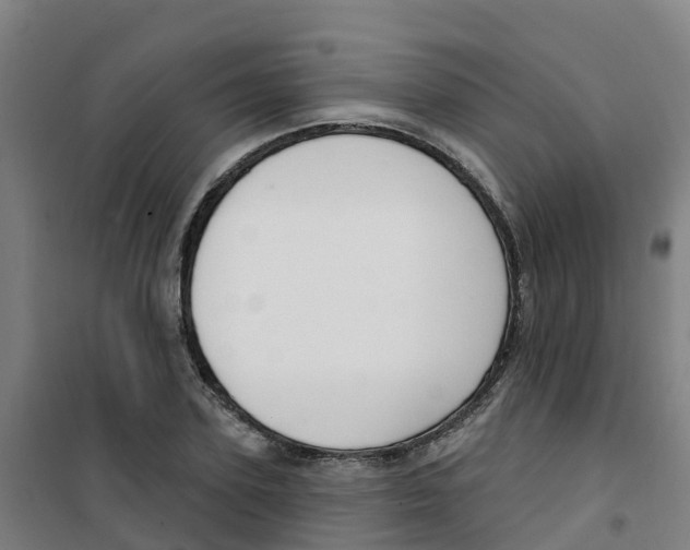 X0000100360931200807031834
