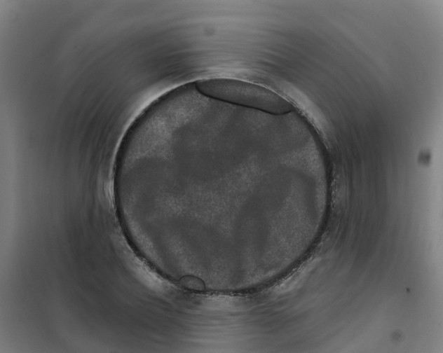 X0000100360932200807031834