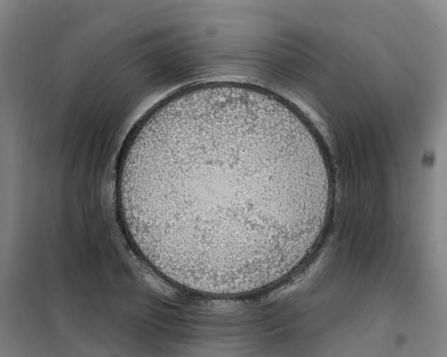 X0000100360933200807031834