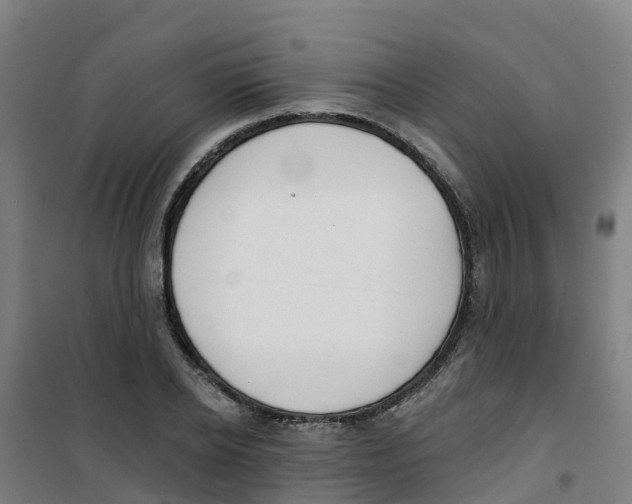 X0000100360934200807031834