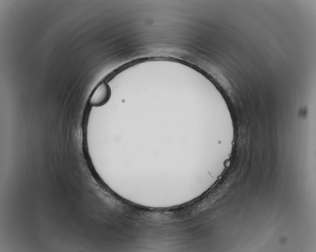 X0000100360936200807031834