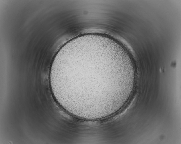 X0000100360937200807031834
