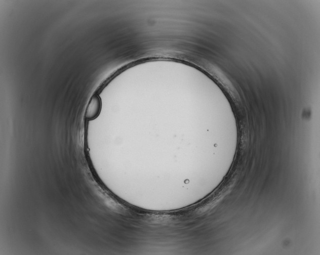 X0000100360940200807031834