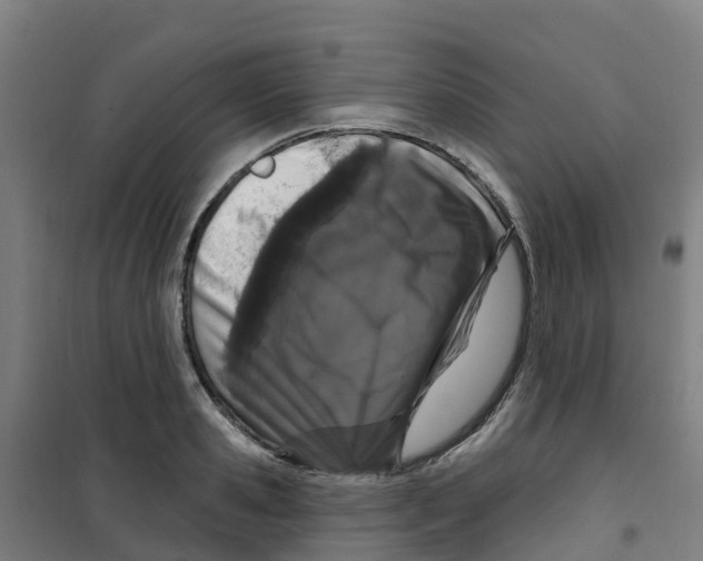 X0000100360941200807031834