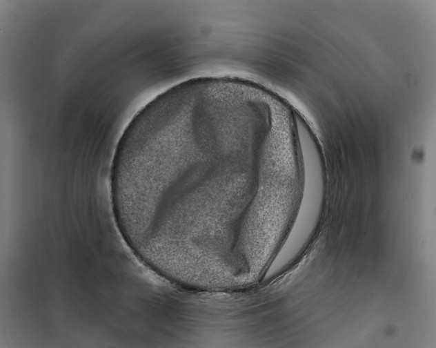 X0000100360943200807031834