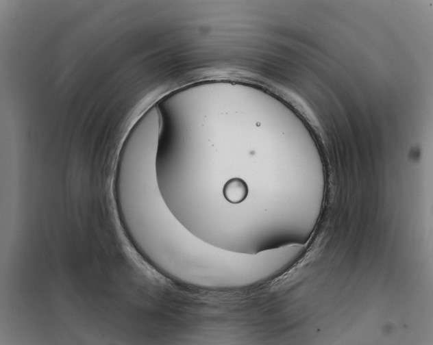 X0000100360946200807031835