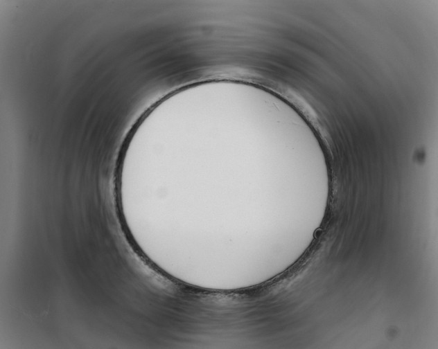 X0000100360947200807031835