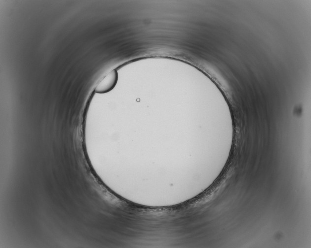 X0000100360948200807031835