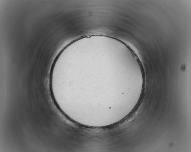 X0000100360949200807031835
