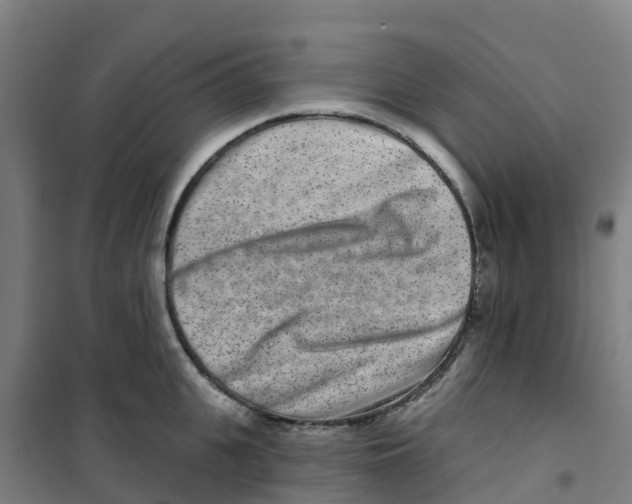 X0000100360951200807031835