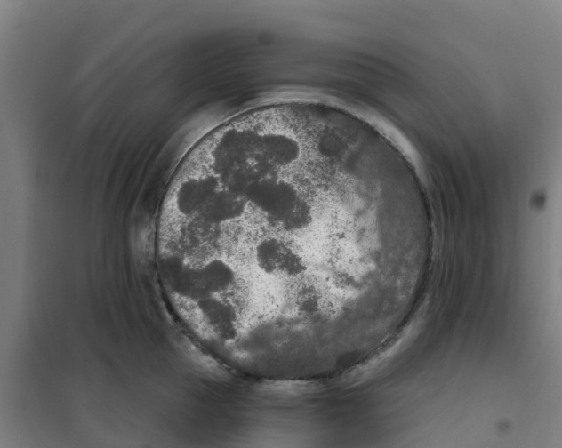 X0000100360953200807031835