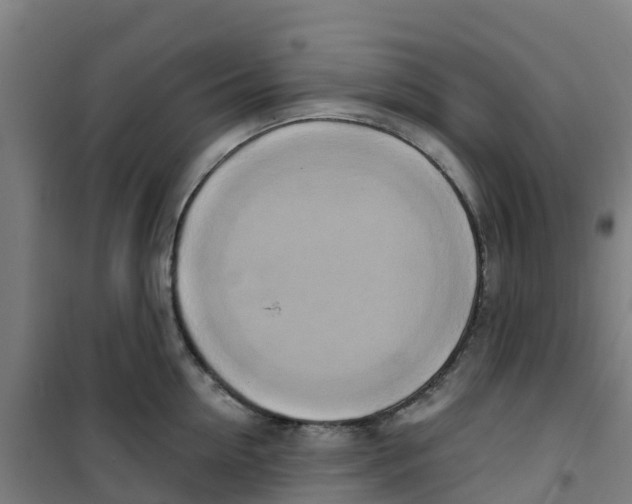X0000100360954200807031835