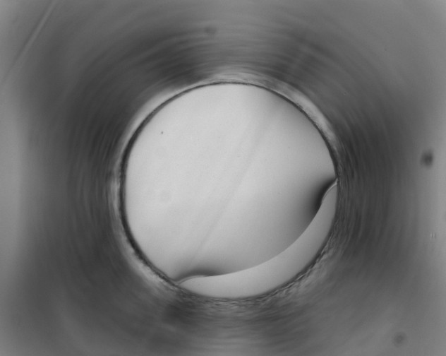 X0000100360955200807031835