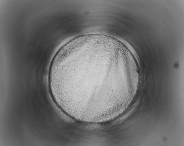 X0000100360957200807031835
