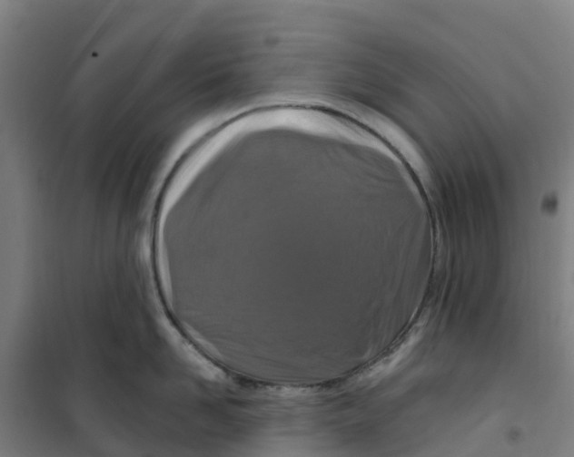 X0000100360958200807031835