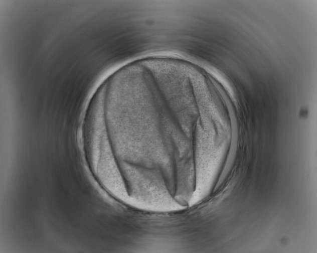 X0000100360959200807031835