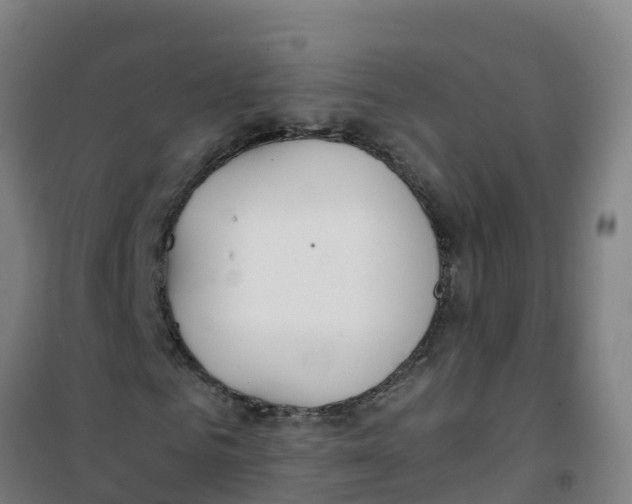 X0000100360961200807031834