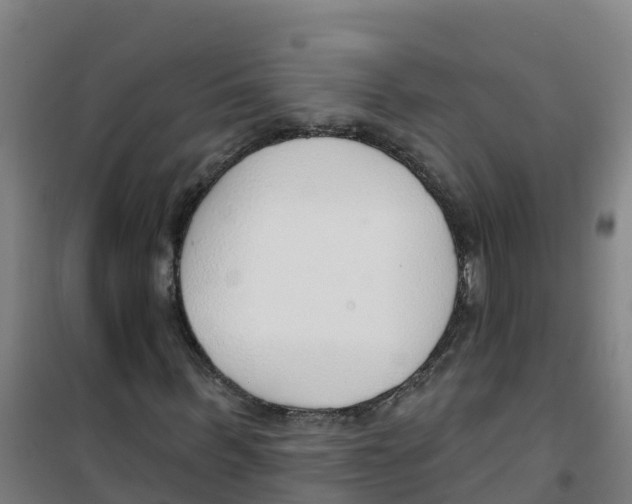 X0000100360963200807031834