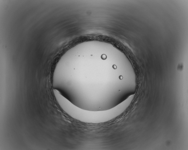 X0000100360965200807031834