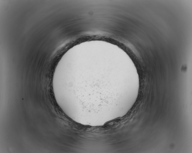 X0000100360967200807031834