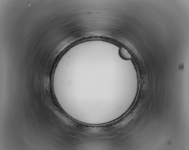 X0000100360969200807031834