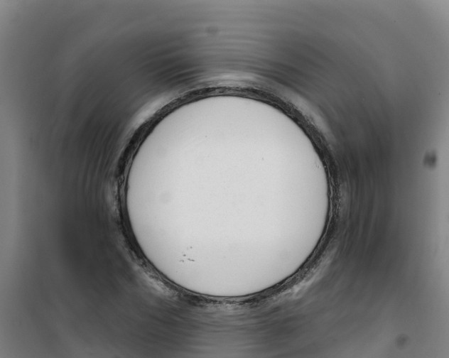 X0000100360970200807031834