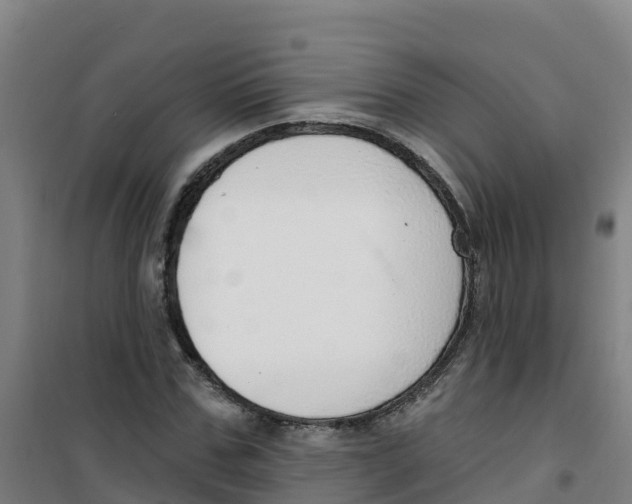 X0000100360971200807031834